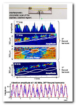 interferometry